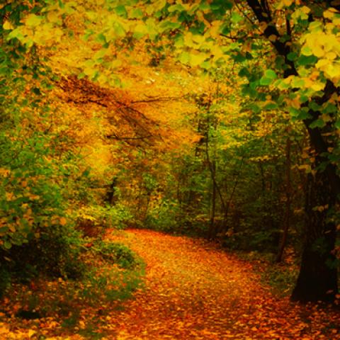 image road_lr_0023-jpg
