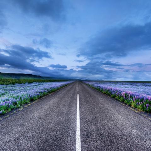 image road_lr_0024-jpg