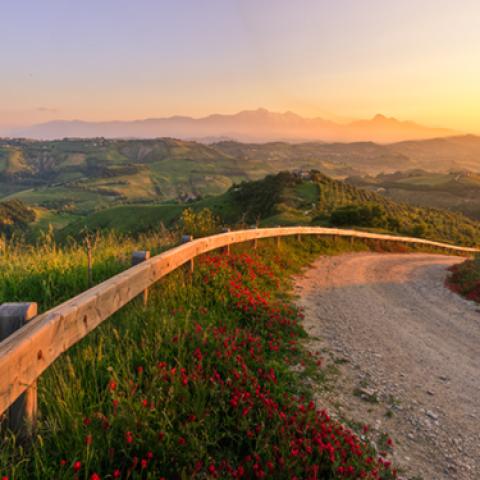 image road_lr_0026-jpg