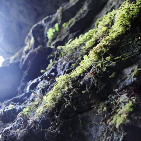image rocks_lr_0010-jpg