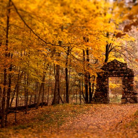 image ruins_lr_0009-jpg