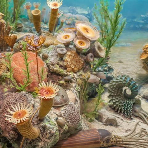 image sea_hr_0002-jpg