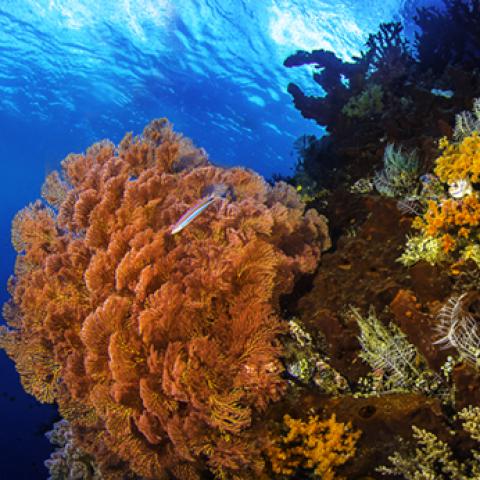 image sea_hr_0005-jpg