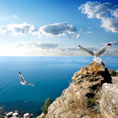 image sea_hr_0008-jpg