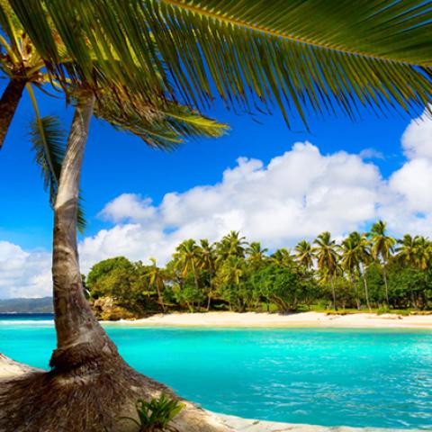 image sea_hr_0010-jpg