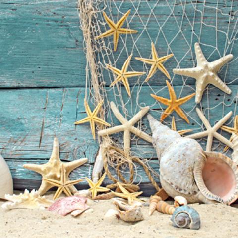 image sea_hr_0011-jpg