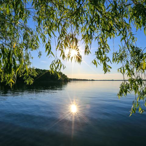 image sea_hr_0016-jpg