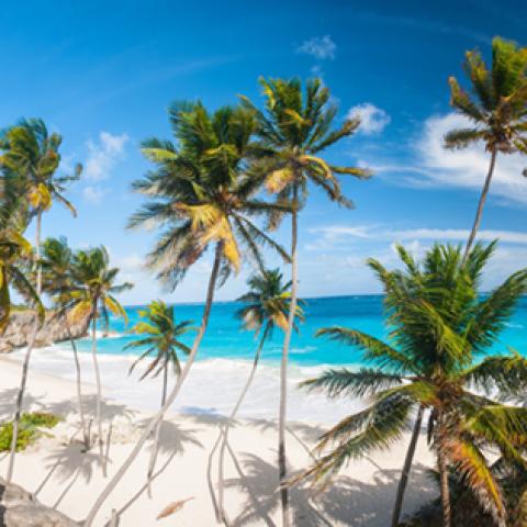 image sea_hr_0018-jpg