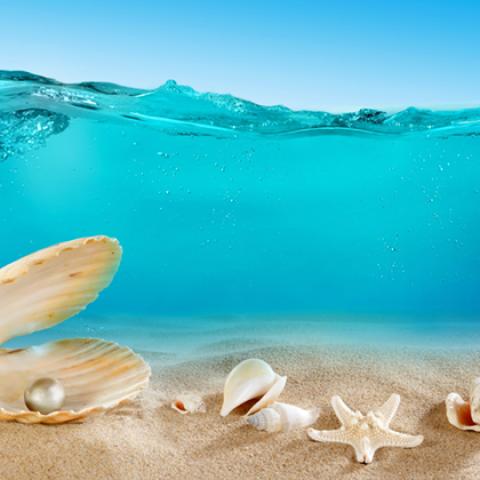 image sea_hr_0021-jpg