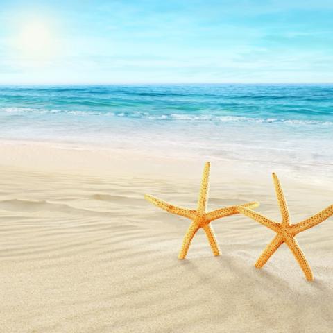 image sea_hr_0025-jpg