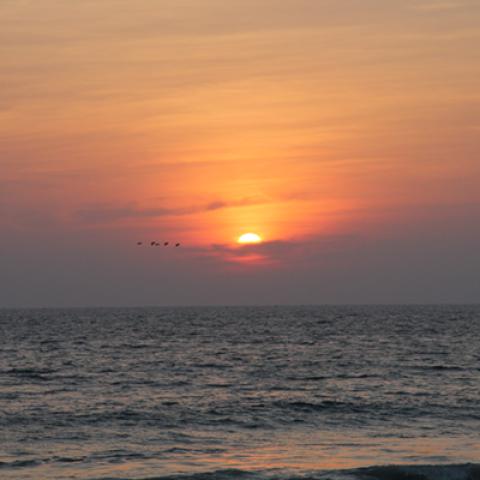 image sea_hr_0028-jpg