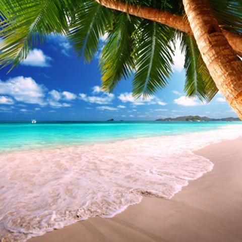 image sea_hr_0029-jpg