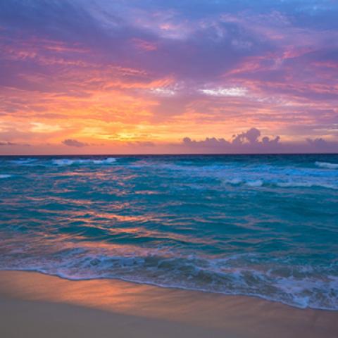 image sea_lr_0001-jpg