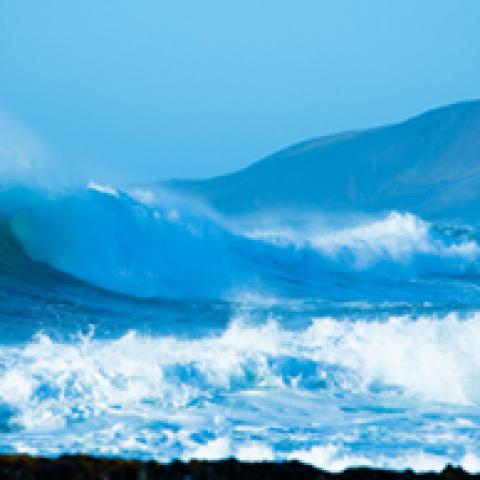 image sea_lr_0003-jpg
