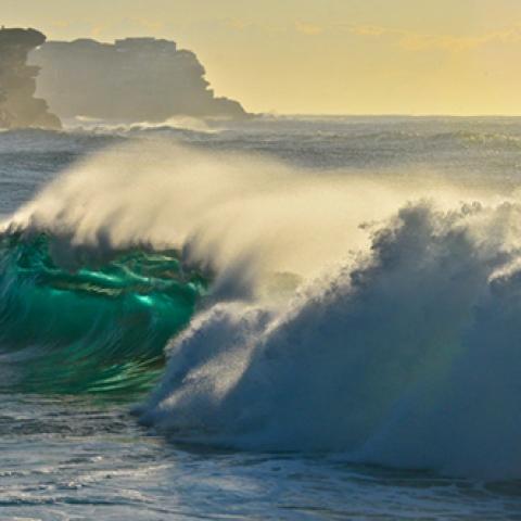 image sea_lr_0004-jpg