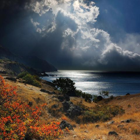 image sea_lr_0006-jpg