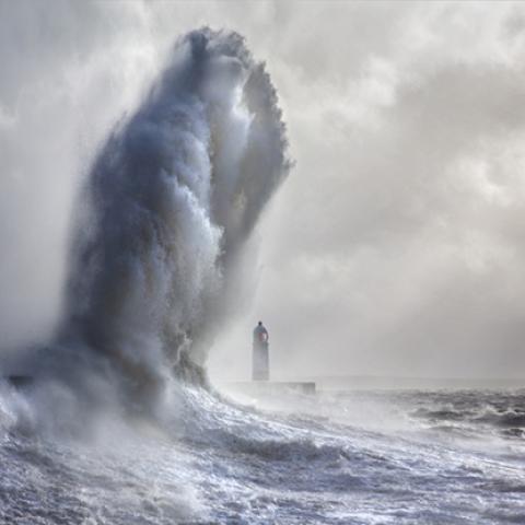 image sea_lr_0009-jpg