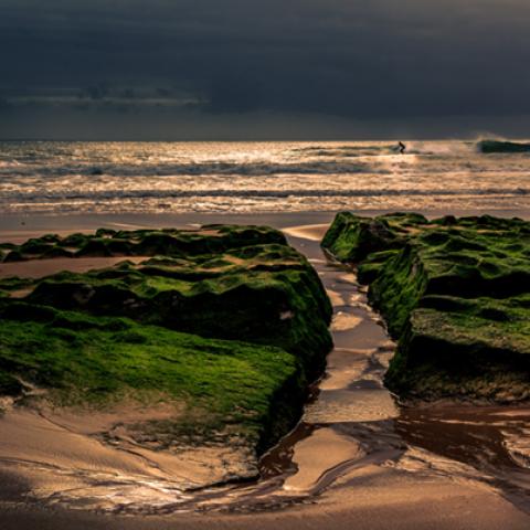 image sea_lr_0010-jpg