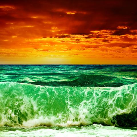 image sea_lr_0013-jpg
