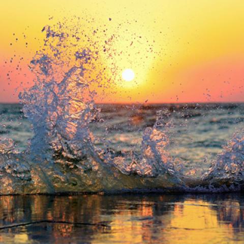 image sea_lr_0016-jpg