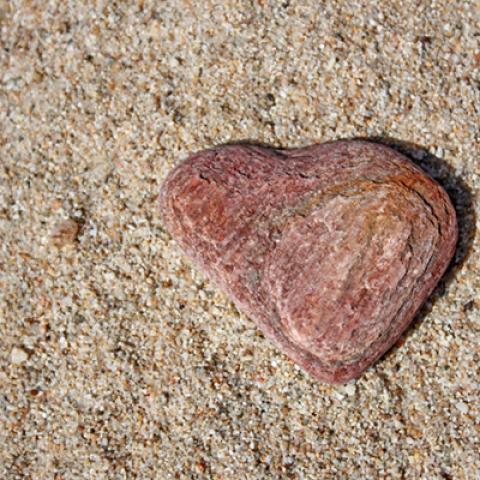 image sea_lr_0018-jpg