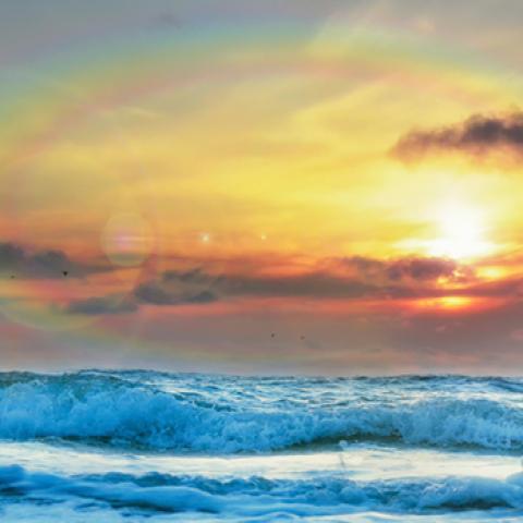 image sea_lr_0025-jpg
