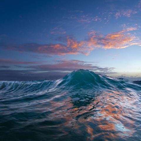 image sea_lr_0027-jpg