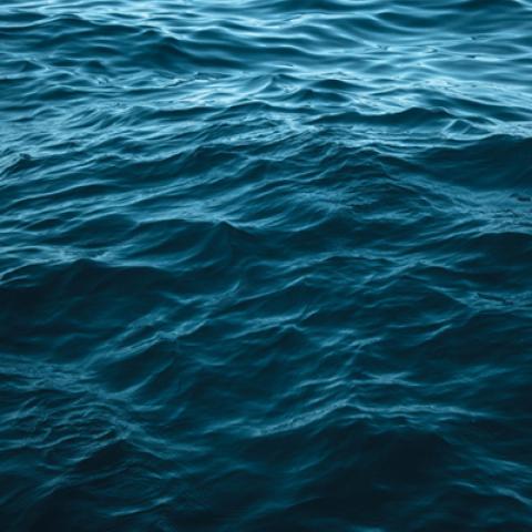 image sea_lr_0029-jpg