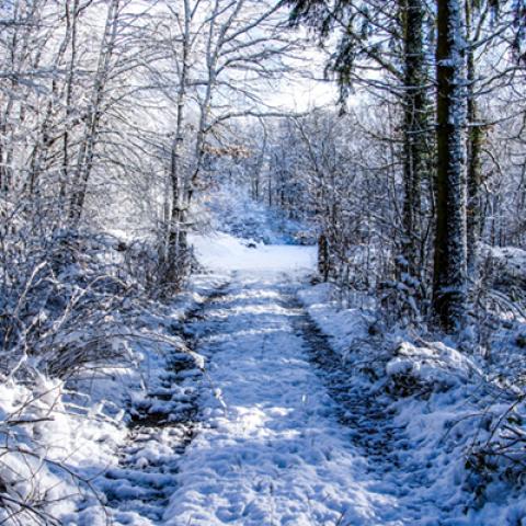 image snow_and_ice_hr_0002-jpg