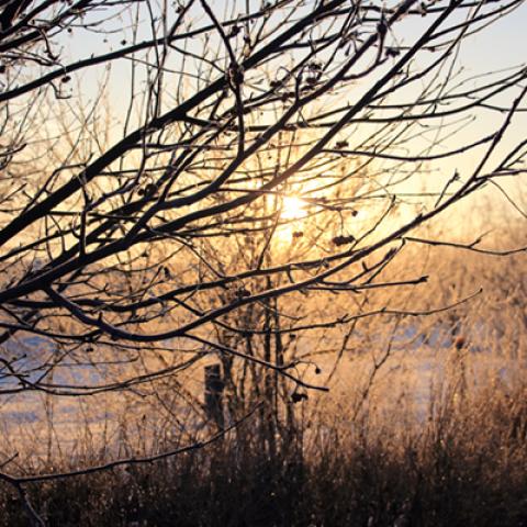 image snow_and_ice_hr_0010-jpg