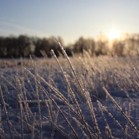 image snow_and_ice_hr_0011-jpg