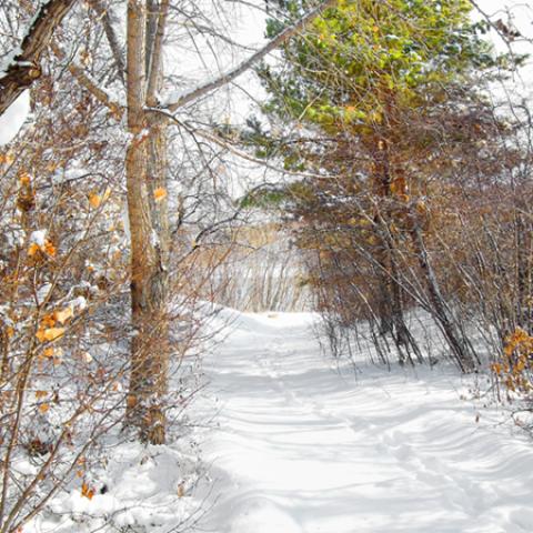 image snow_and_ice_hr_0012-jpg