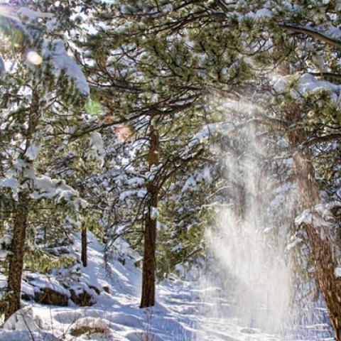 image snow_and_ice_hr_0015-jpg