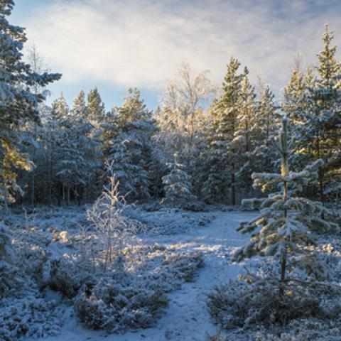 image snow_and_ice_hr_0017-jpg
