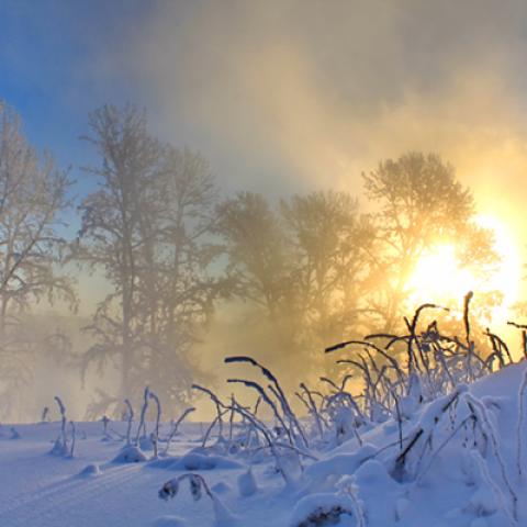 image snow_and_ice_hr_0018-jpg