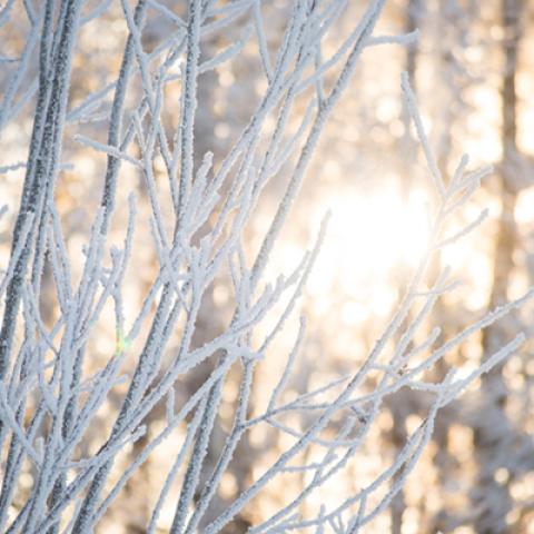 image snow_and_ice_hr_0021-jpg
