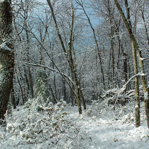 image snow_and_ice_hr_0025-jpg