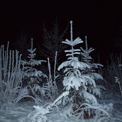 image snow_and_ice_hr_0027-jpg