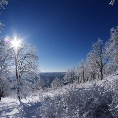 image snow_and_ice_hr_0029-jpg