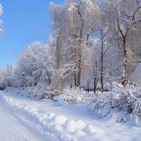 image snow_and_ice_hr_0030-jpg