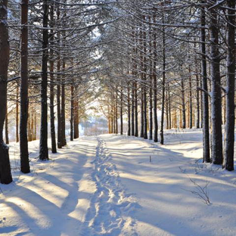 image snow_and_ice_hr_0031-jpg