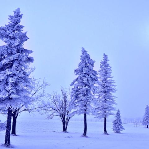 image snow_and_ice_hr_0033-jpg