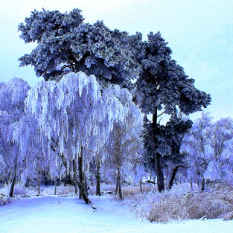 image snow_and_ice_hr_0035-jpg