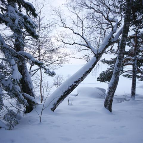 image snow_and_ice_hr_0036-jpg