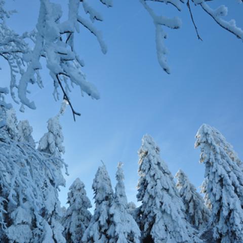 image snow_and_ice_hr_0037-jpg