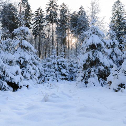 image snow_and_ice_hr_0038-jpg