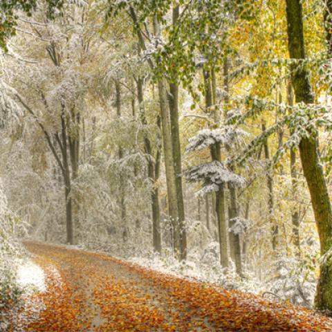 image snow_and_ice_hr_0039-jpg
