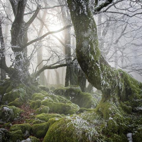 image snow_and_ice_lr_0002-jpg