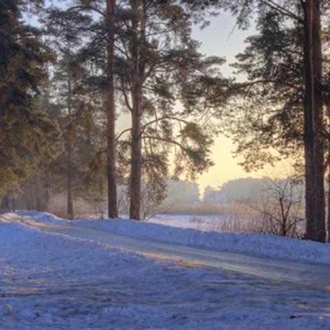 image snow_and_ice_lr_0003-jpg