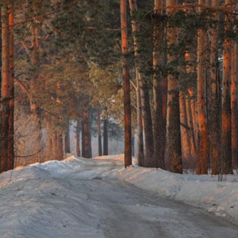 image snow_and_ice_lr_0004-jpg